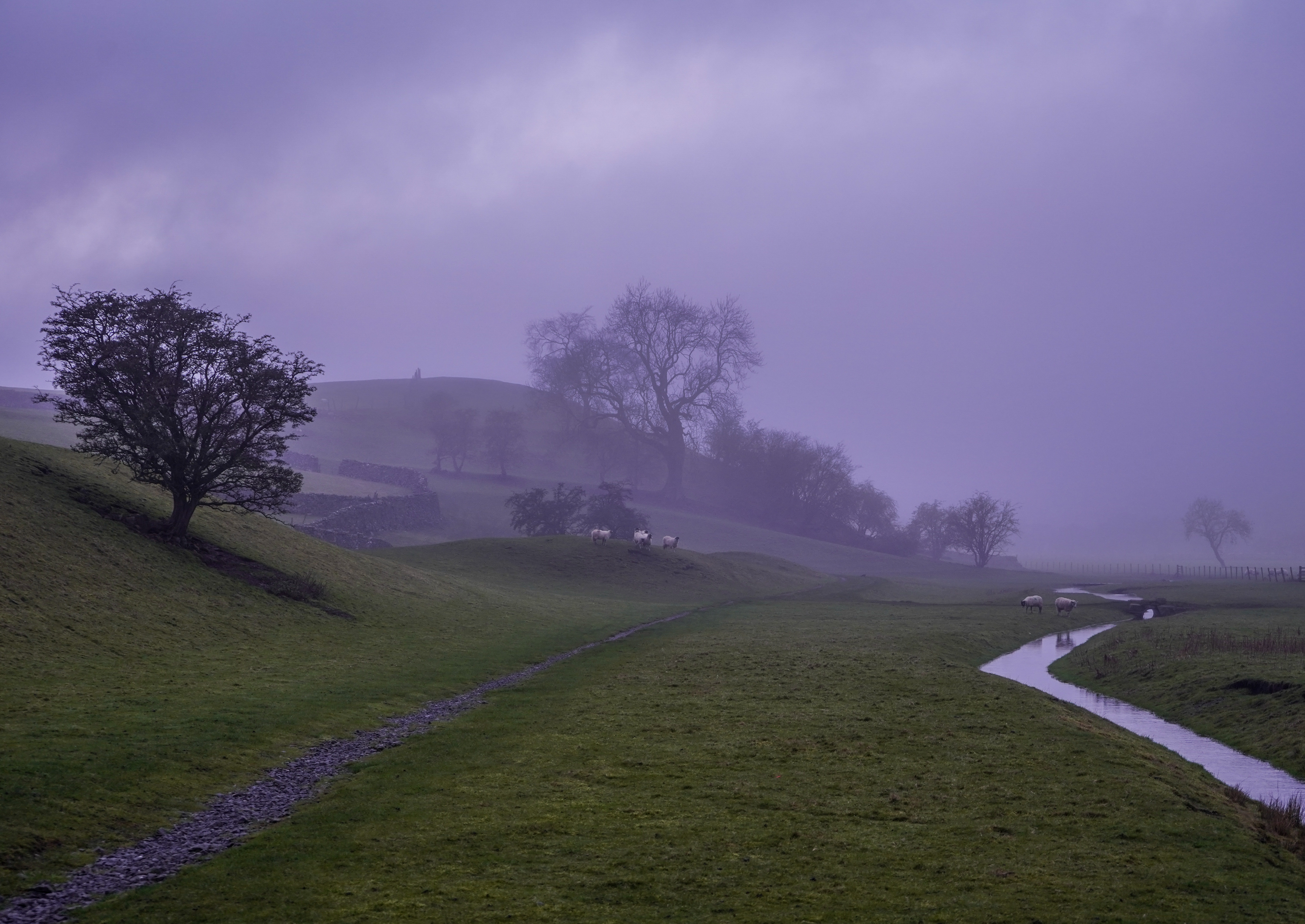 Evening Mist Across the Dales - Samantha Innard